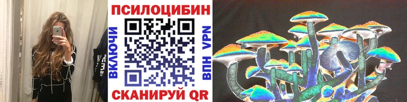 Псилоцибиновые грибы Cubensis  Купить где  Владимир 